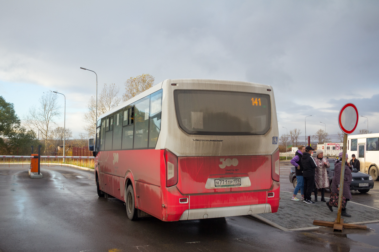 Пермский край, ПАЗ-320415-04 "Vector Next" № Н 771 ТР 159