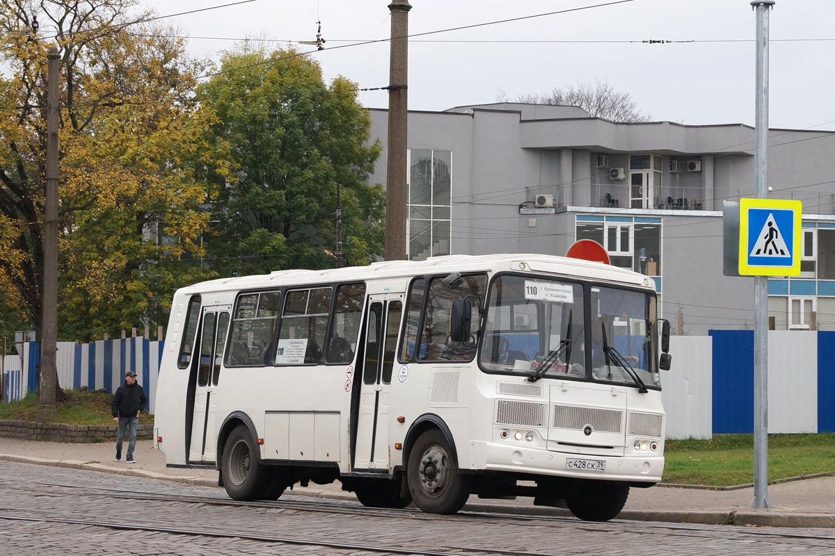 Калининградская область, ПАЗ-4234 № С 428 СК 39