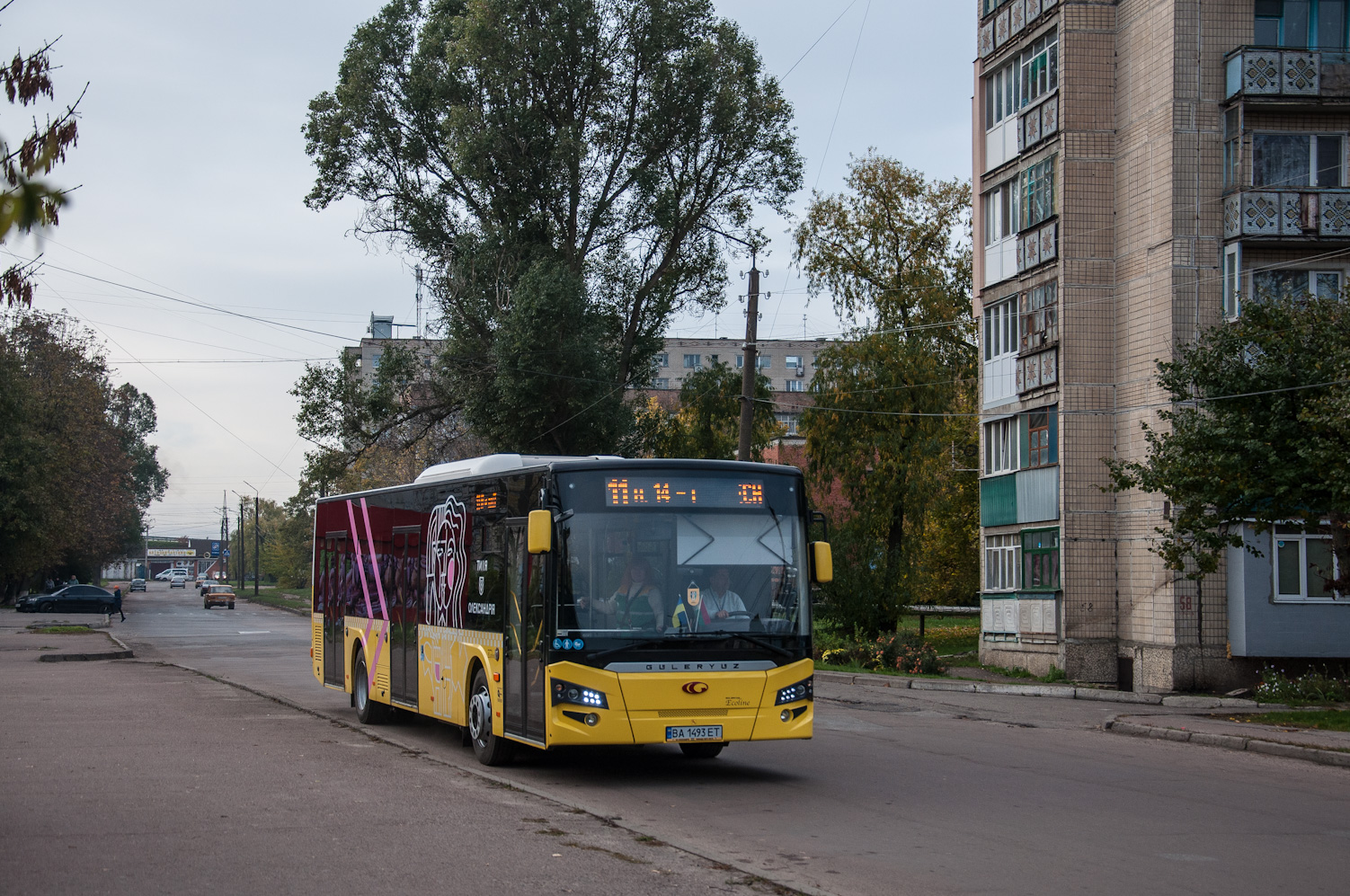 Кировоградская область, Güleryüz Ecoline № BA 1493 ET