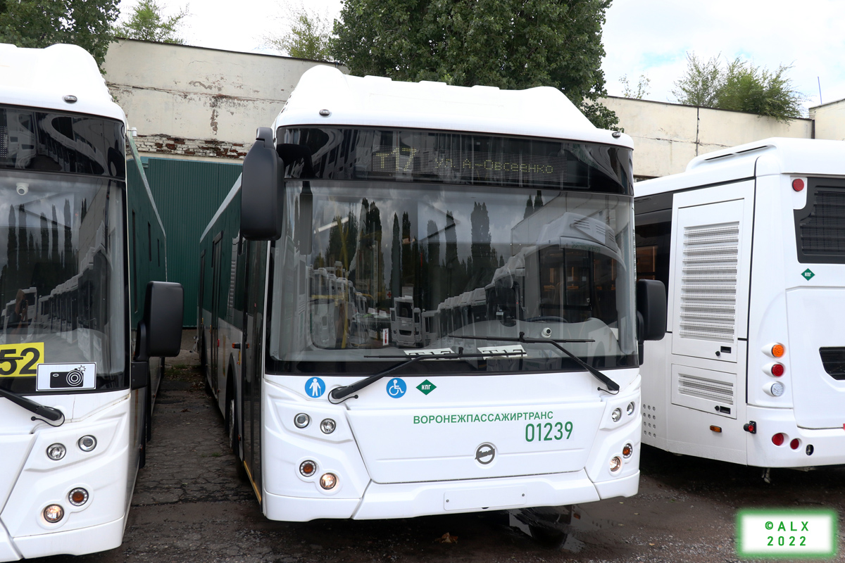Воронежская область, ЛиАЗ-5292.67 (CNG) № 01239