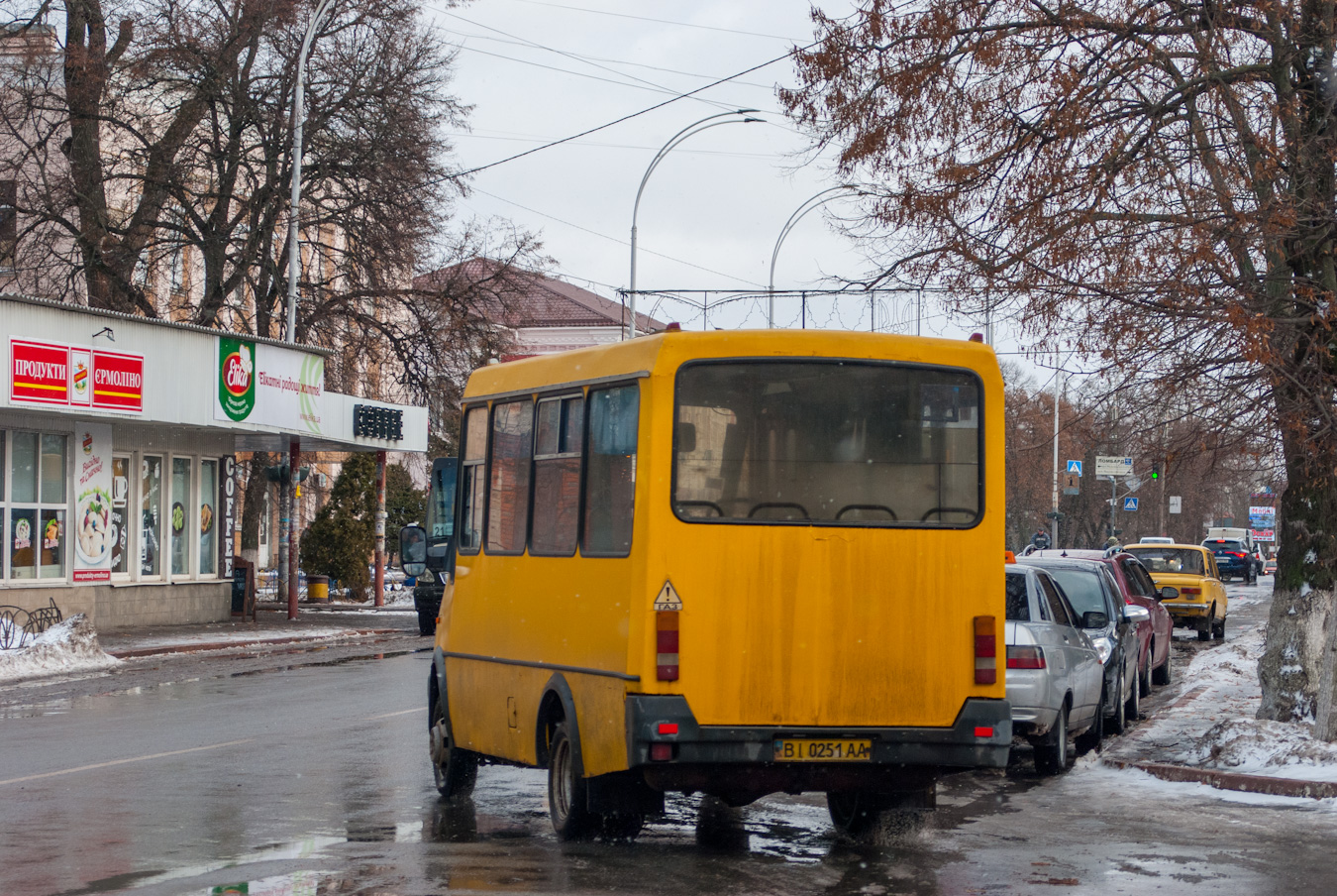 Черниговская область, БАЗ-2215 "Дельфин" № BI 0251 AA