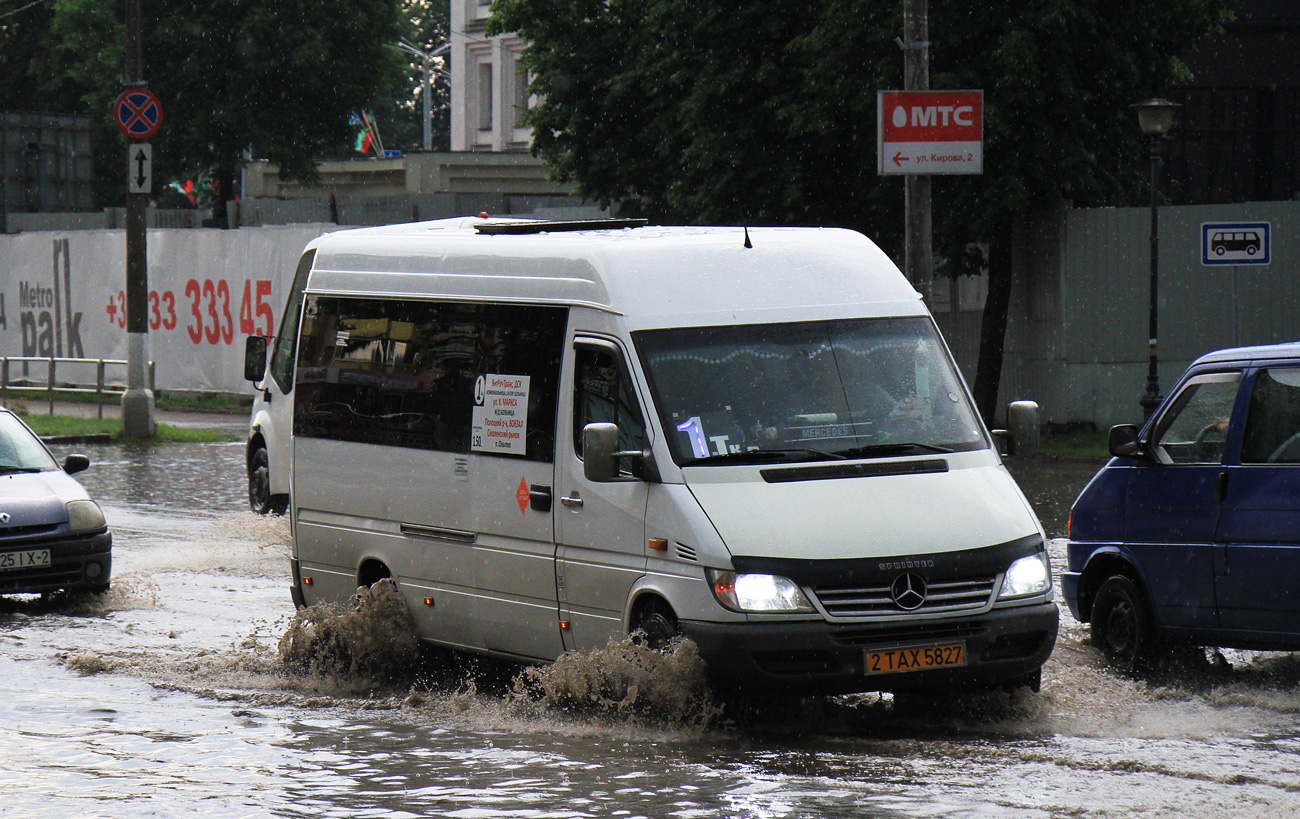Витебская область, Классикбус-90917 (MB Sprinter) № 2 ТАХ 5827
