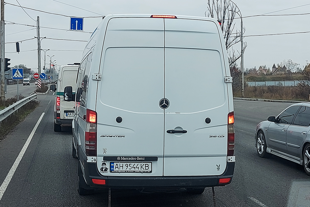 Донецкая область, Mercedes-Benz Sprinter W906 316CDI № AH 9544 KB