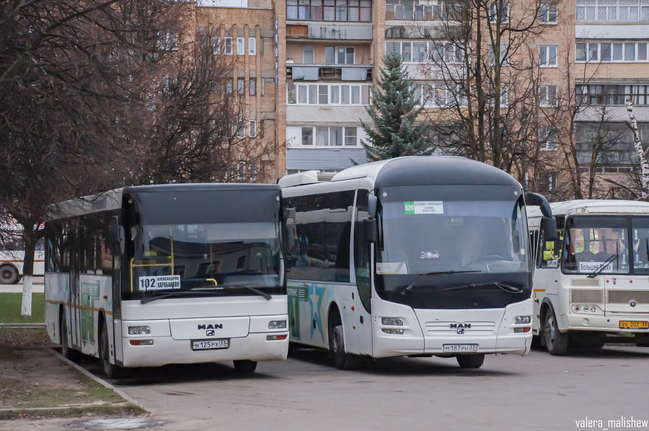 Владимирская область, MAN A72 Lion's Classic SÜ**3 № Н 125 РХ 33