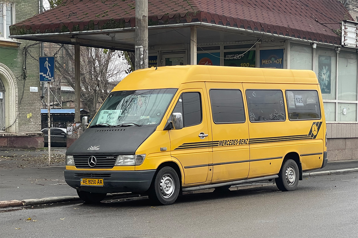 Днепропетровская область, Mercedes-Benz Sprinter W903 310D № AE 8050 AA
