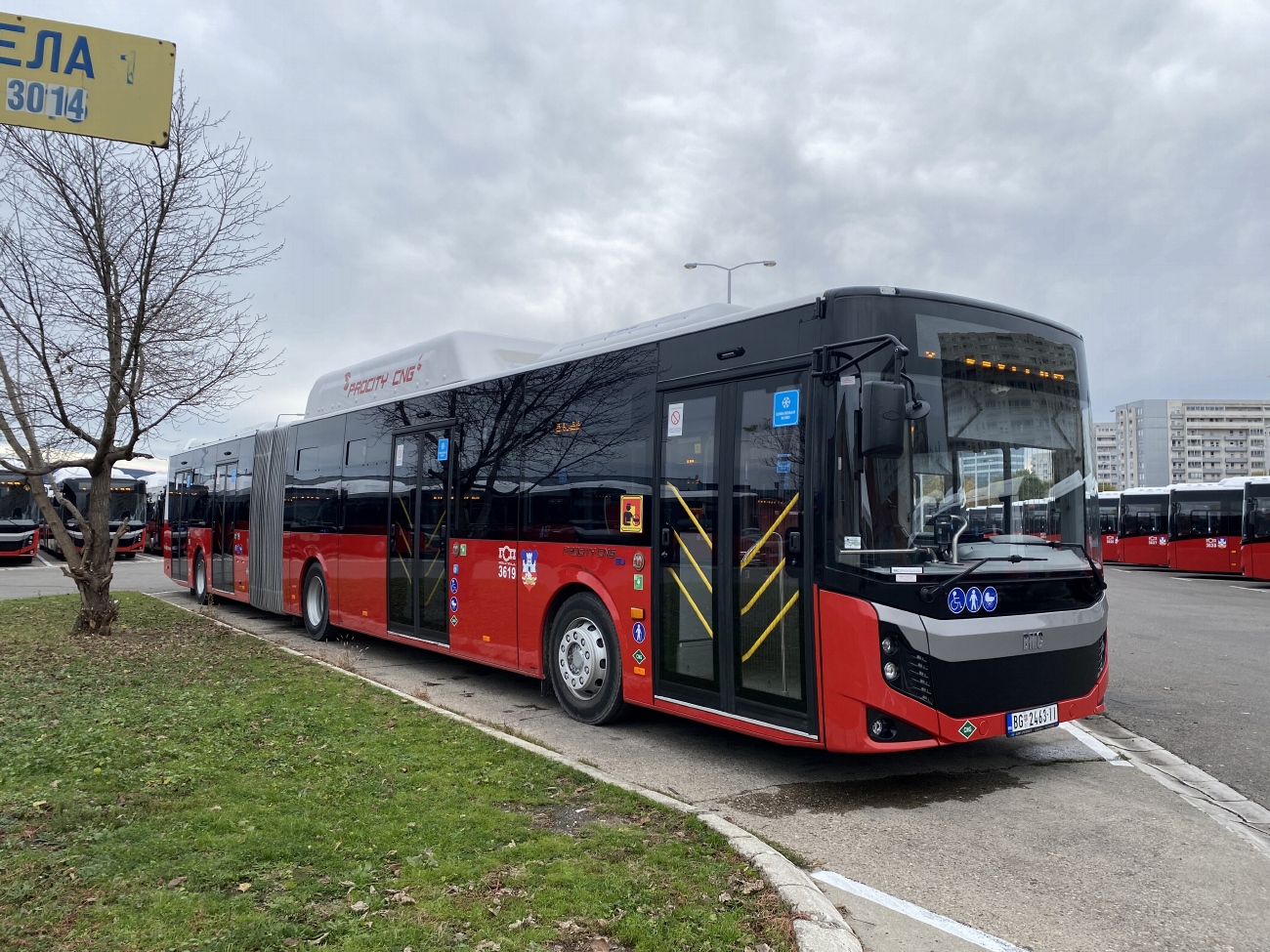 Serbia, BMC Procity II 18LF CNG № 3619