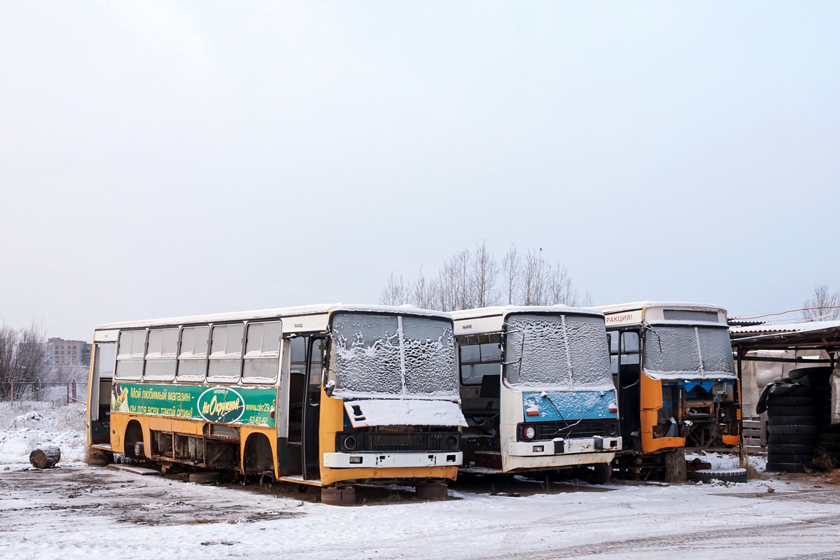 Архангельская область, Ikarus 260.51F № АА 749 29