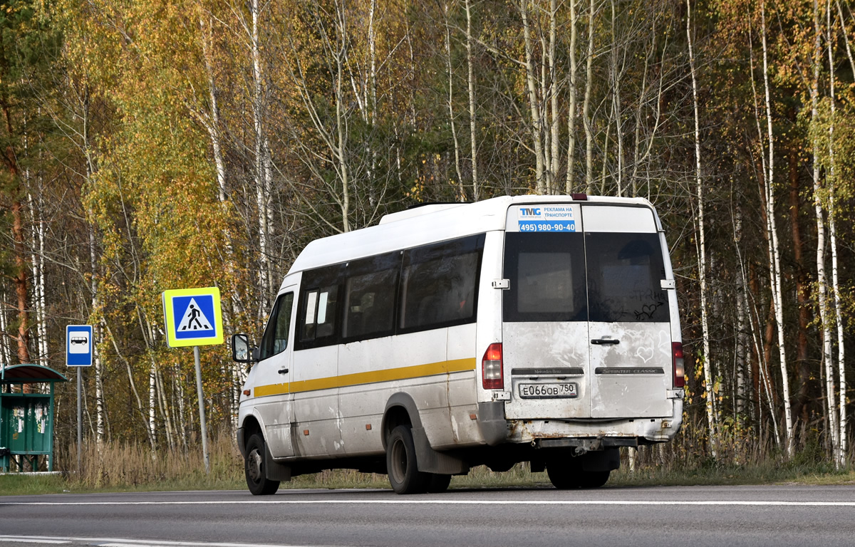 Московская область, Луидор-223237 (MB Sprinter Classic) № Е 066 ОВ 750