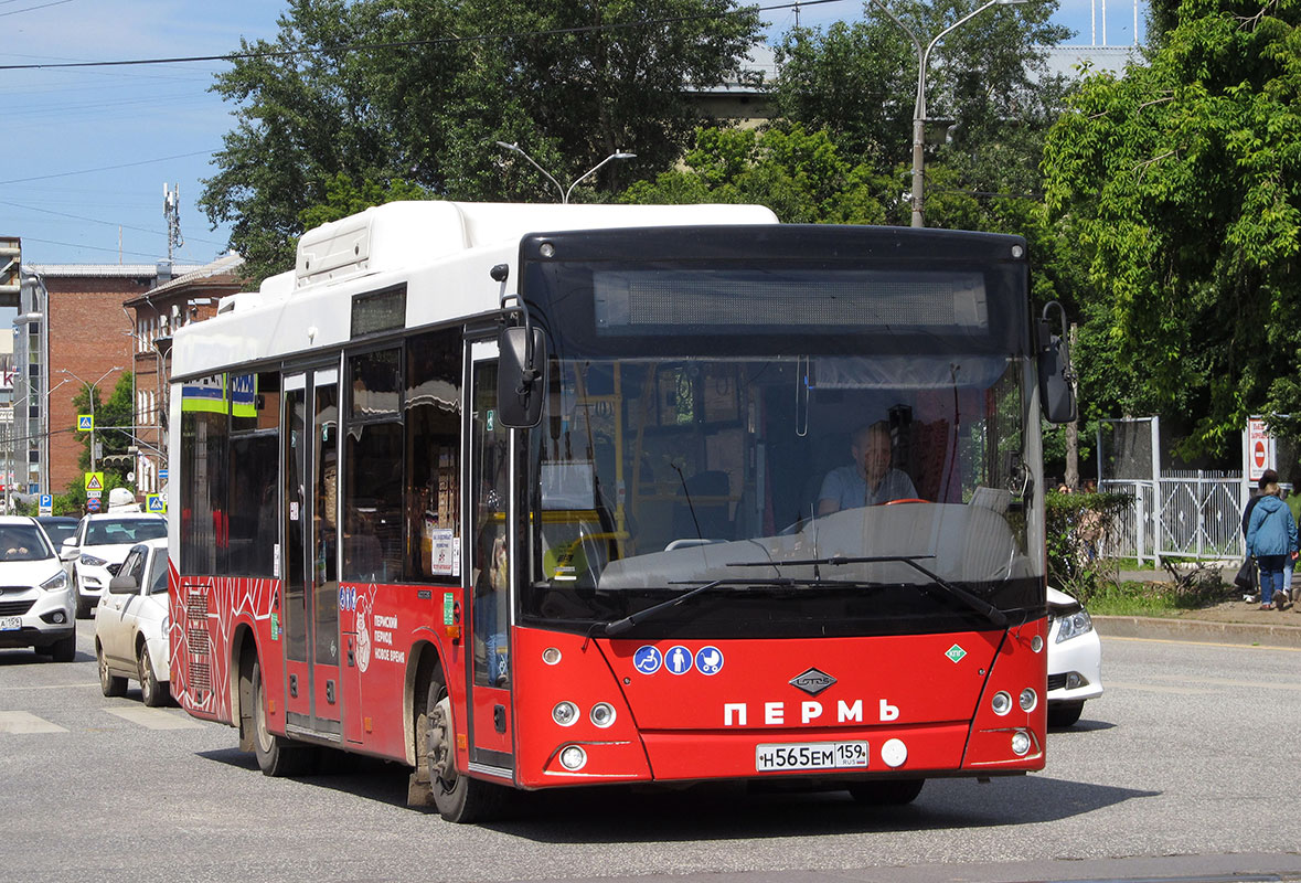 Пермский край, Lotos-206 № Н 565 ЕМ 159