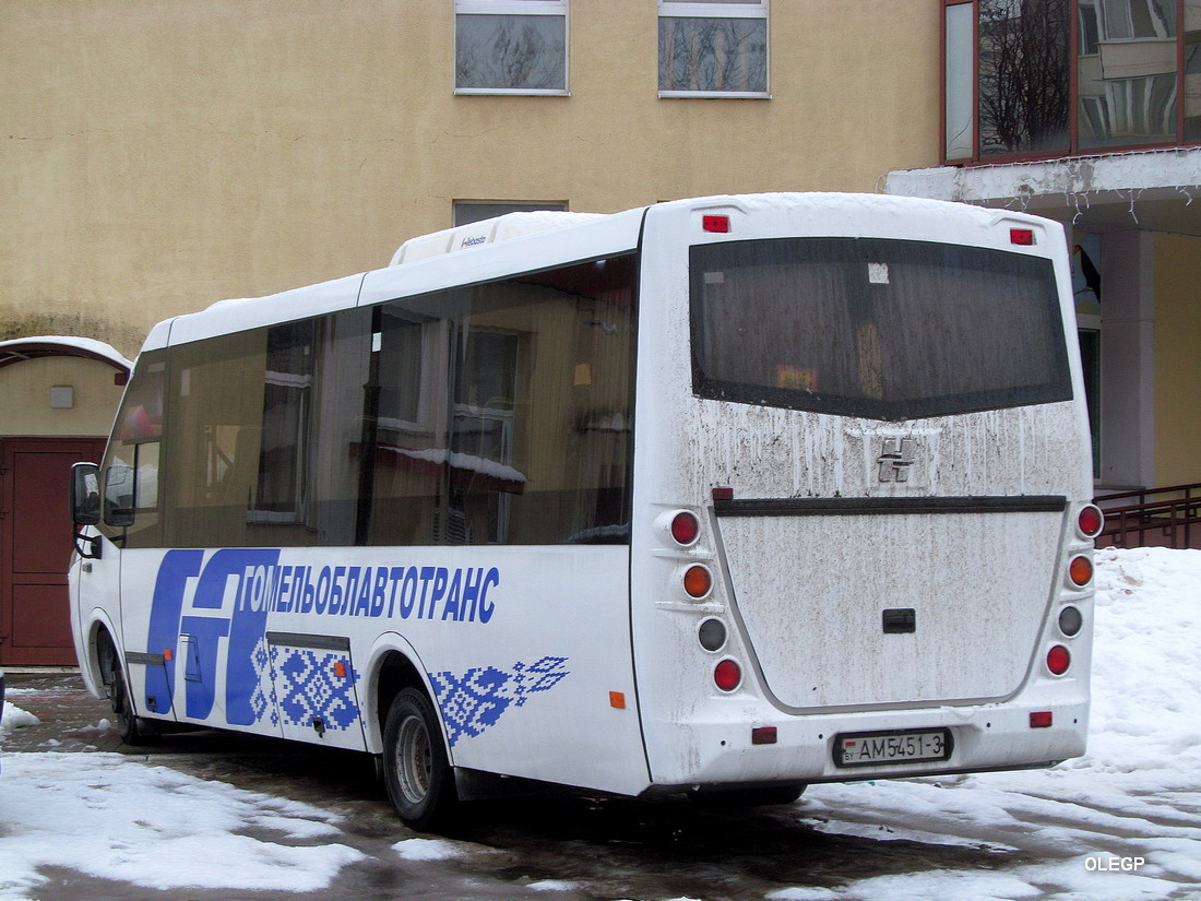 Гомельская область, Неман-420234-511 № 12467