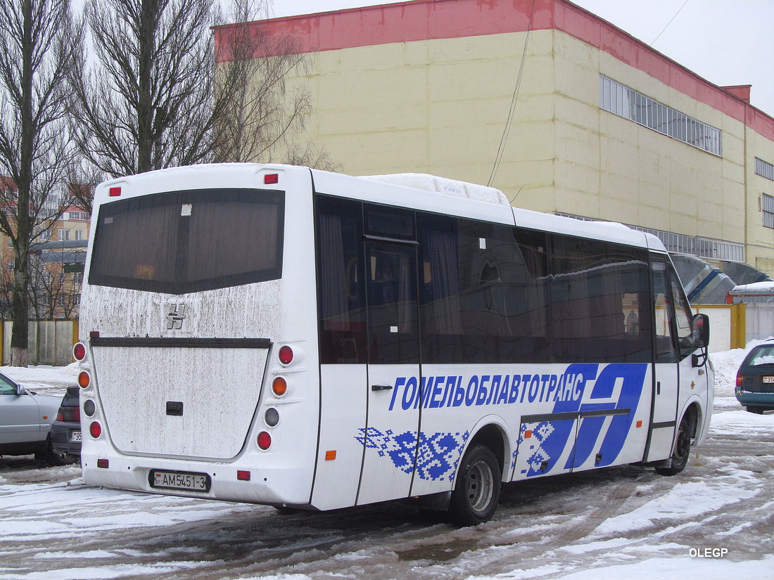 Гомельская область, Неман-420234-511 № 12467