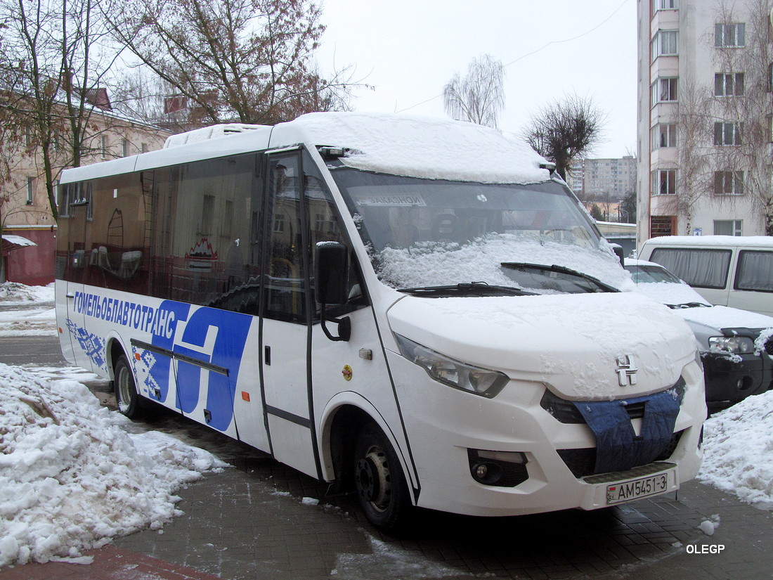 Гомельская область, Неман-420234-511 № 12467