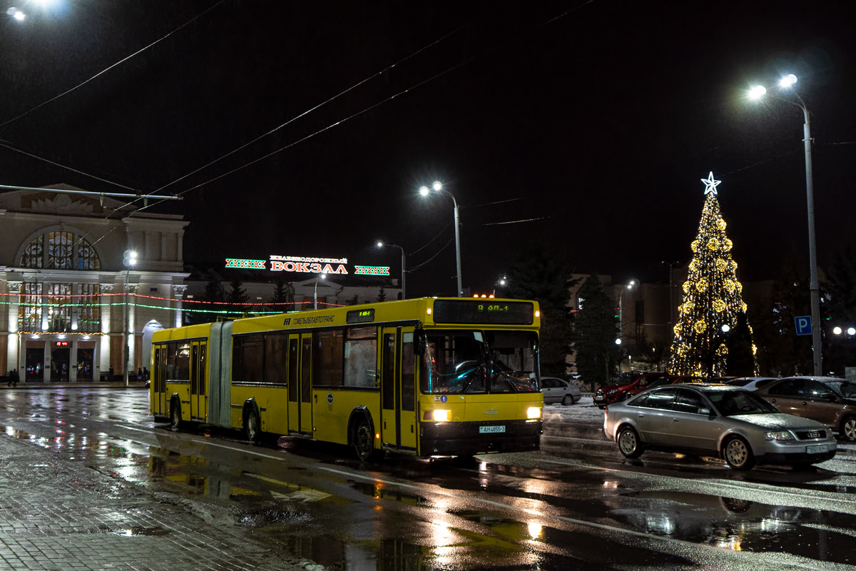 Гомельская область, МАЗ-105.065 № 016152
