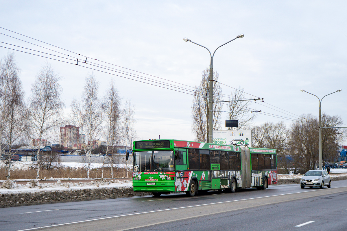 Гомельская область, МАЗ-105.065 № 036064