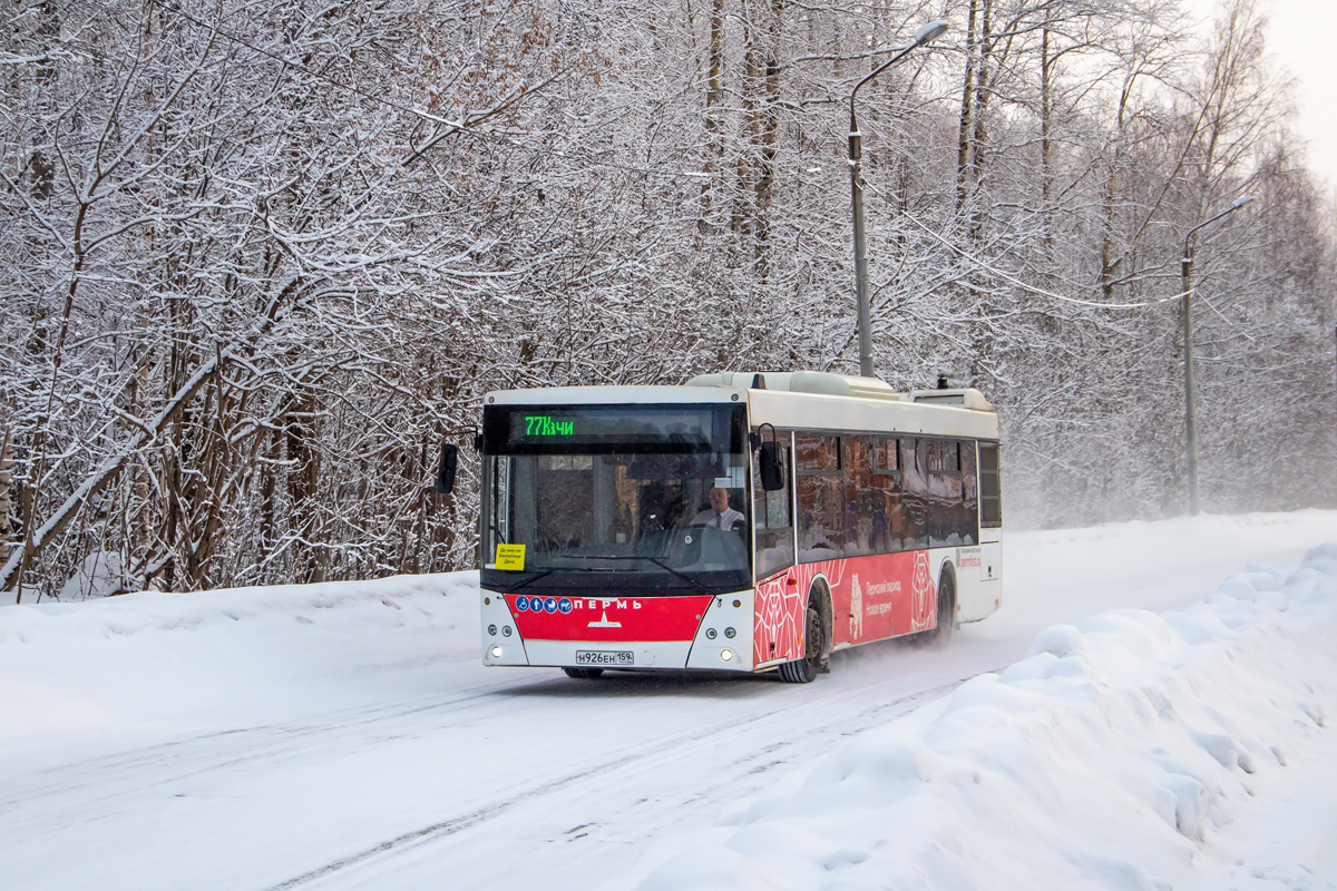 Пермский край, МАЗ-203.016 № Н 926 ЕН 159