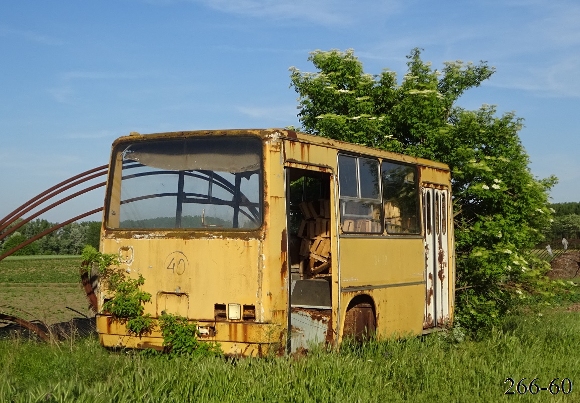 Венгрия, Ikarus 280.06 № BV 34-37 Венгрия, Ikarus 280.06 № BV 34-37