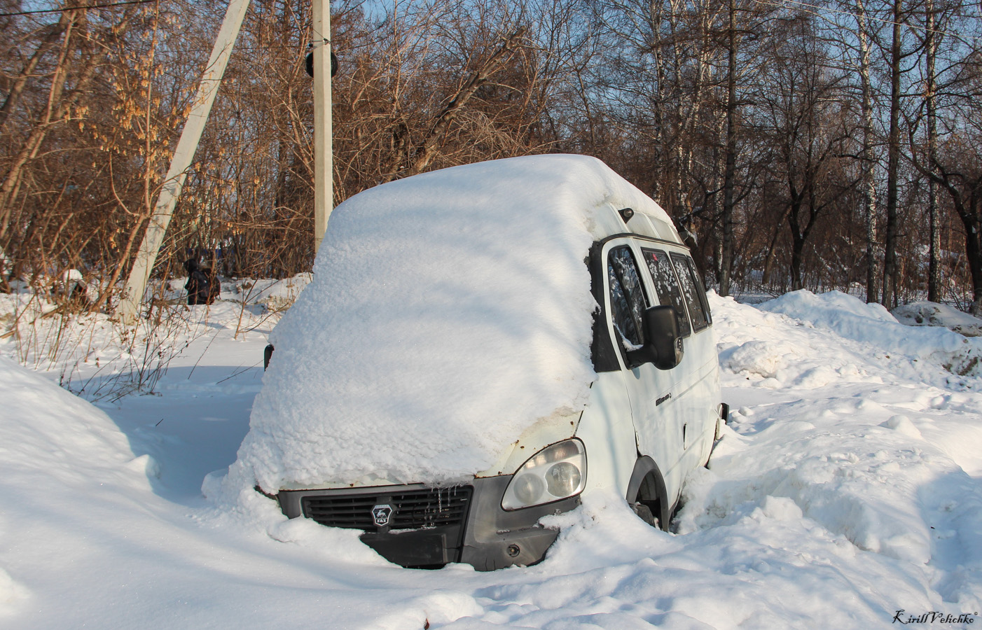 Новосибирская область — Автобусы без номеров