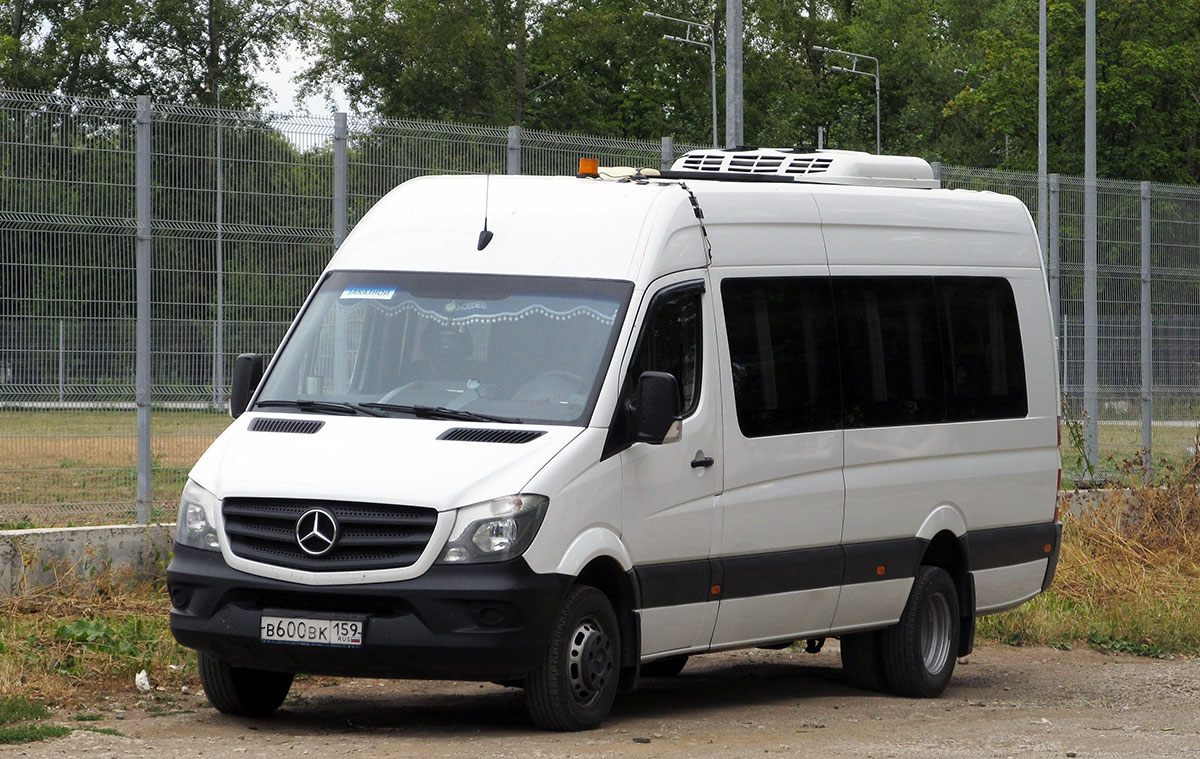 Пермский край, Луидор-223602 (MB Sprinter) № В 600 ВК 159