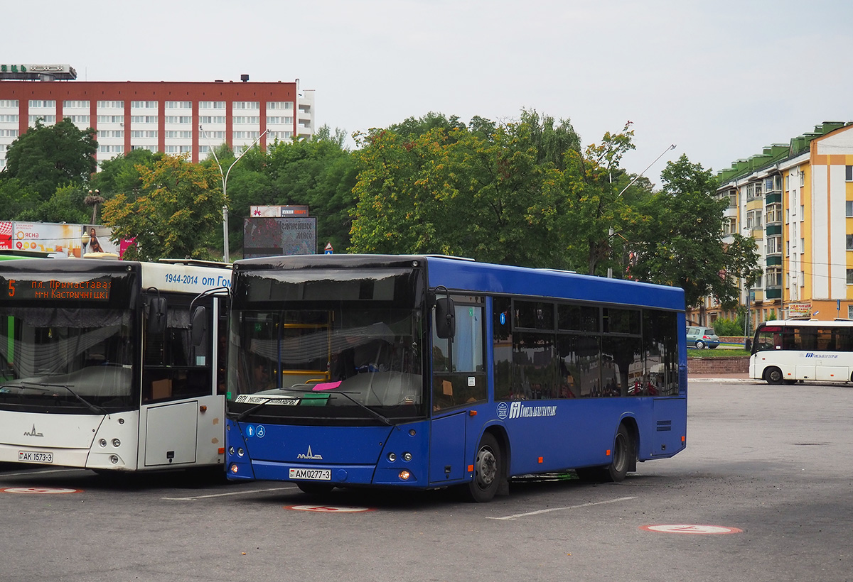 Гомельская область, МАЗ-206.085 № 060290