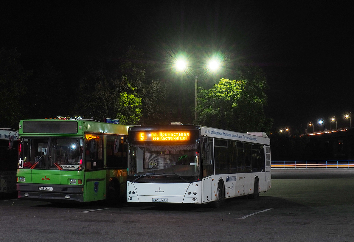 Гомельская область, МАЗ-203.065 № 014176