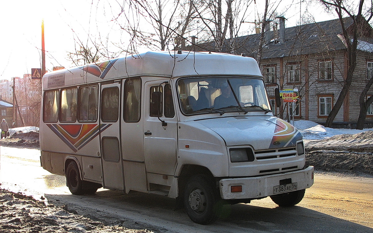 Новосибирская область, КАвЗ-32441 № Т 383 АЕ 54