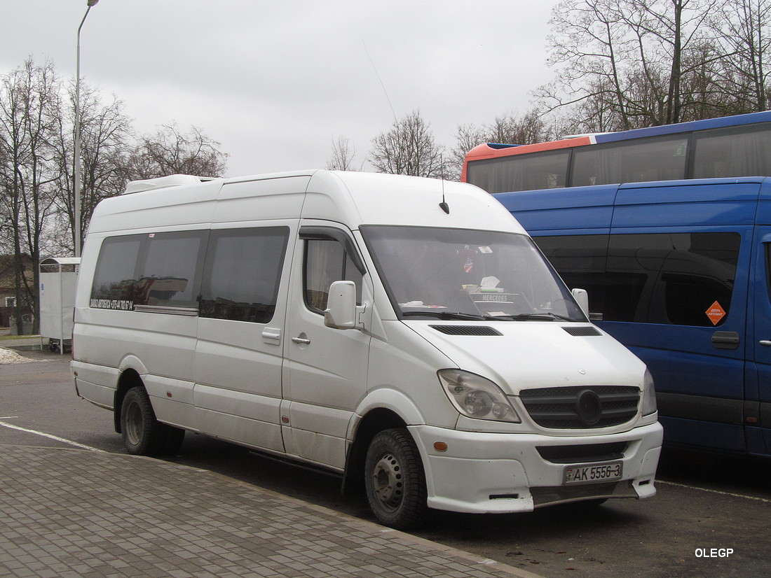 Гомельская область, Mercedes-Benz Sprinter № АК 5556-3 Гомельская область, Mercedes-Benz Sprinter № АК 5556-3