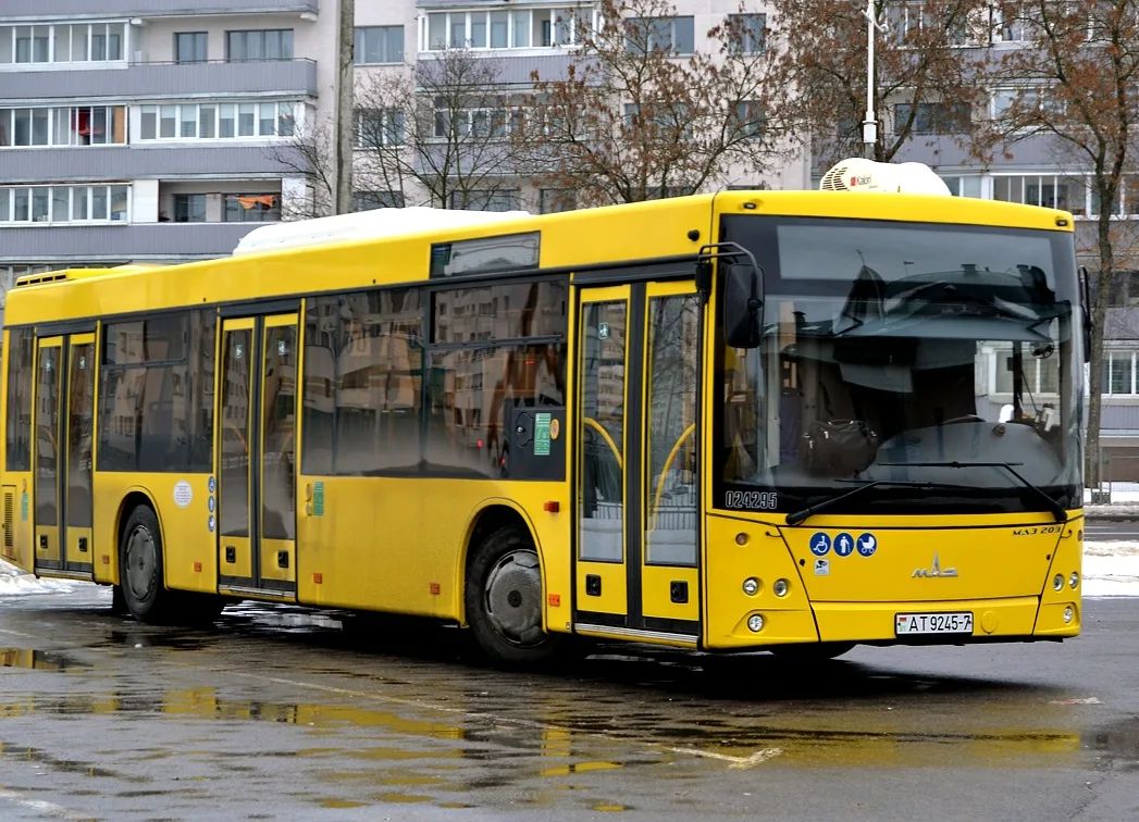 Минск, МАЗ-203.015 № 024295