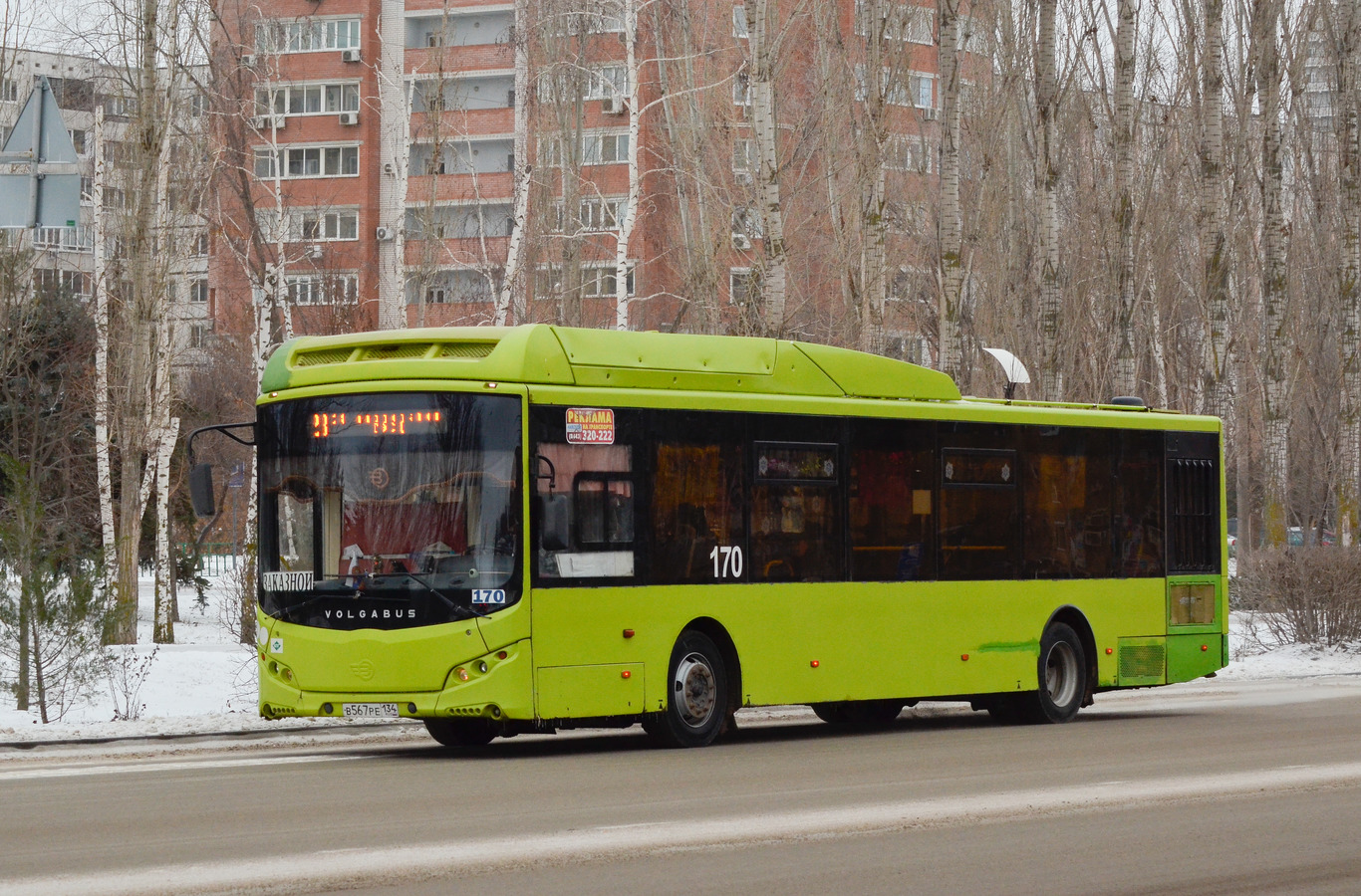Волгоградская область, Volgabus-5270.G2 (CNG) № 170 — Фото — Автобусный ...