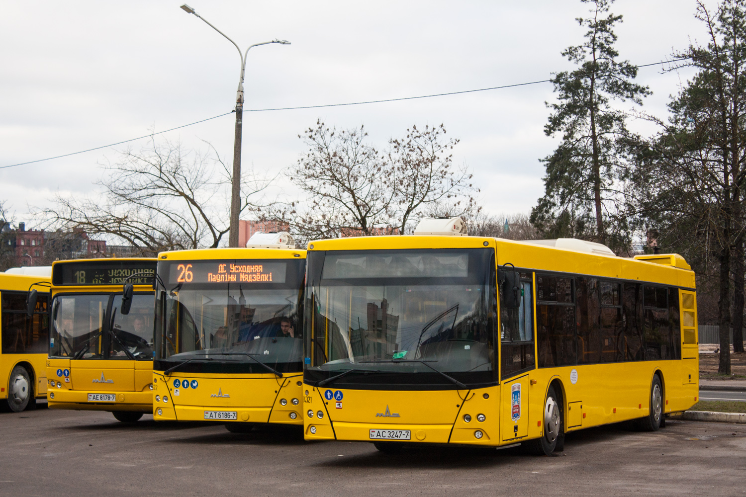 Минск, МАЗ-203.069 № 034321