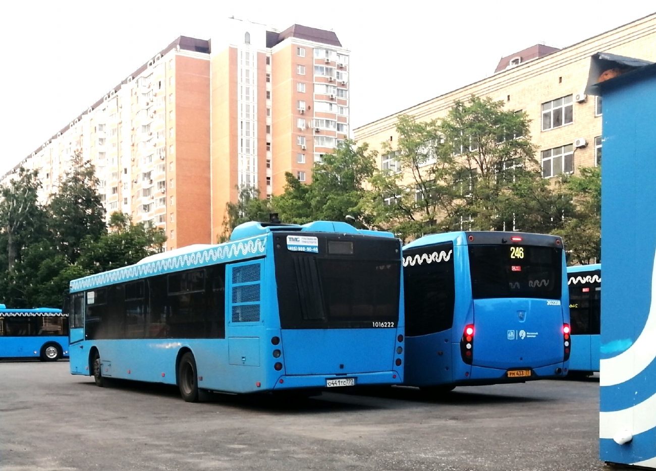 Москва, МАЗ-203.069 № 1016222
