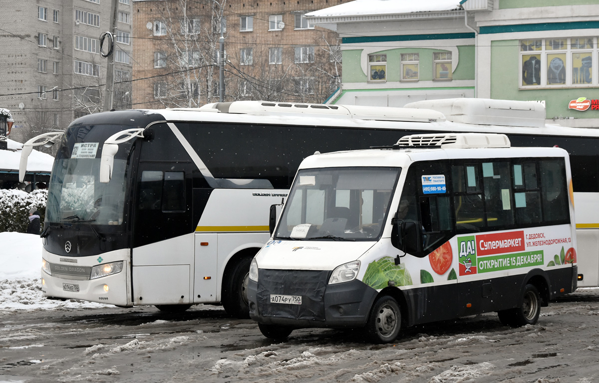 Московская область, Луидор-2250DS (ГАЗ Next) № 072022