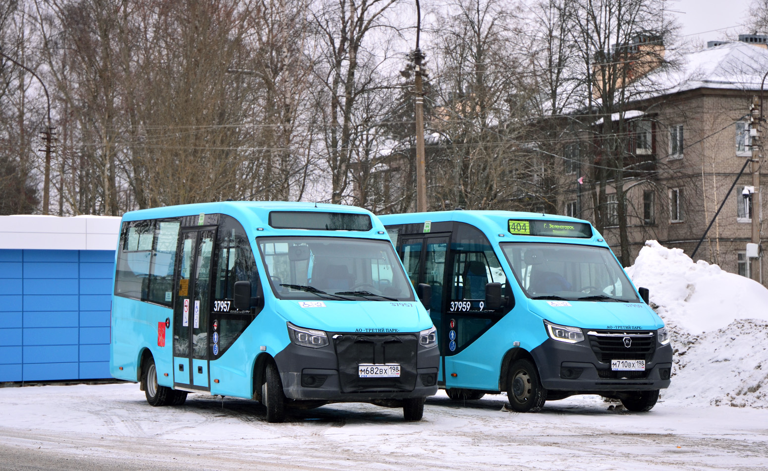 Автобус зеленогорский. 404 автобус зеленогорск подгорное. 404 автобус зеленогорск подгорное. Автобус зеленогорский. Кавз 4238.