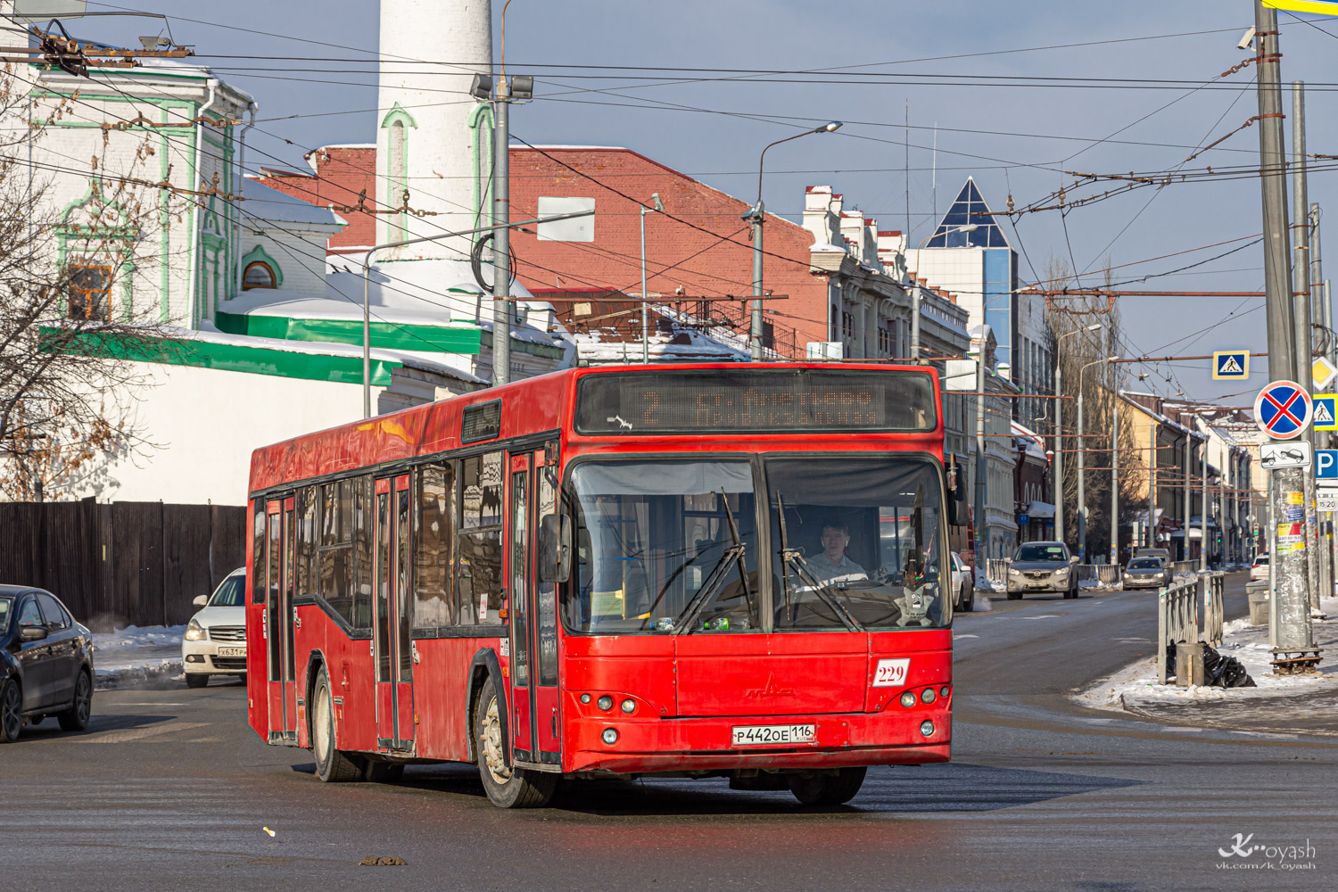 Татарстан, МАЗ-103.465 № 229
