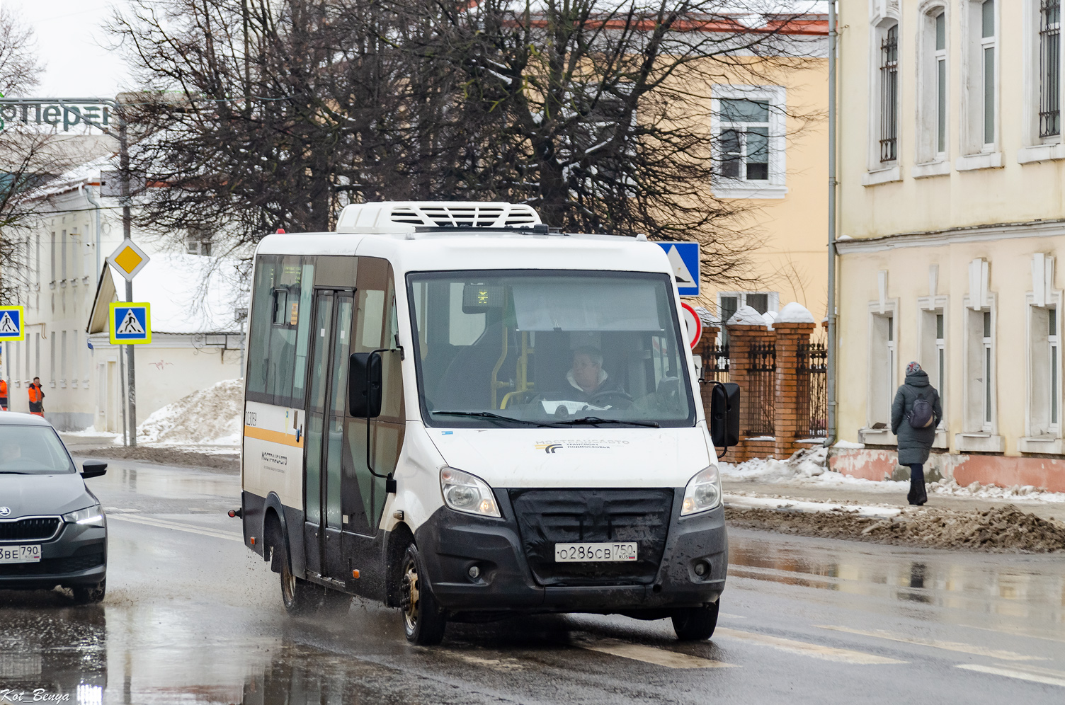 Московская область, Луидор-2250DS (ГАЗ Next) № 023059