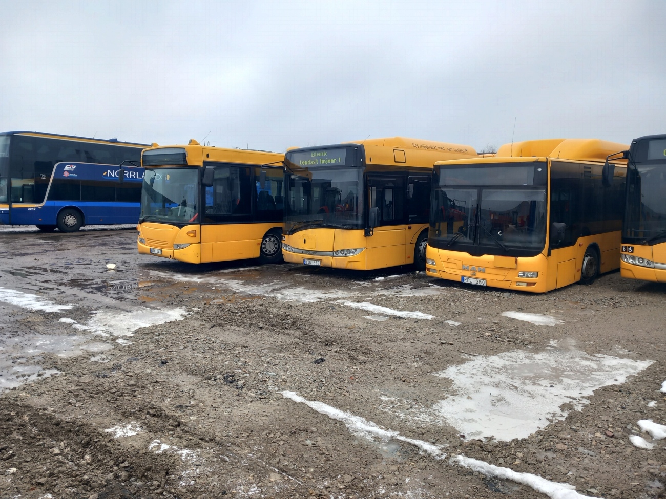 Швеция, MAN A26 Lion's City L NL313-15 CNG № RPJ 259