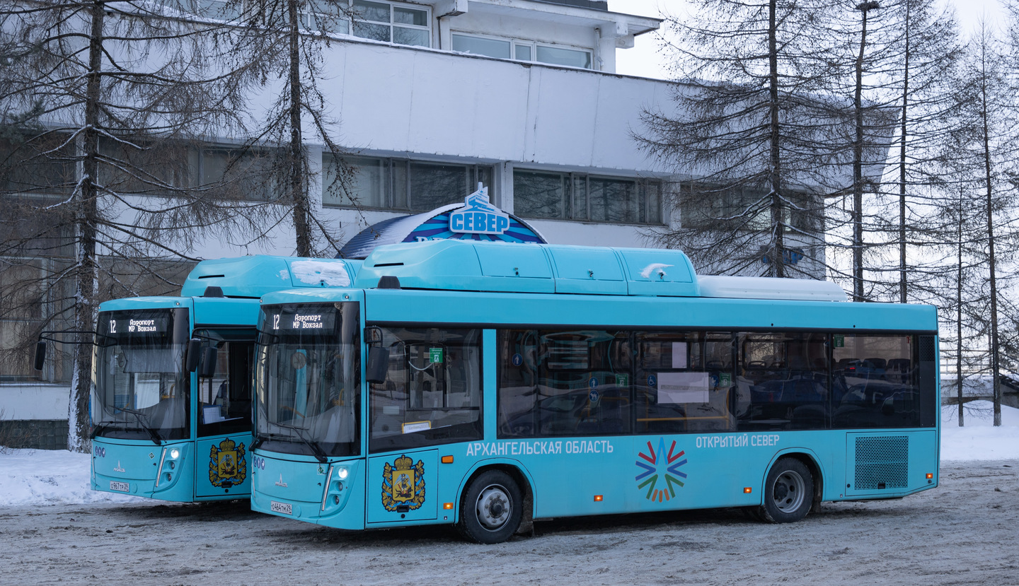 Архангельская область, МАЗ-206.948 № О 464 ТМ 29