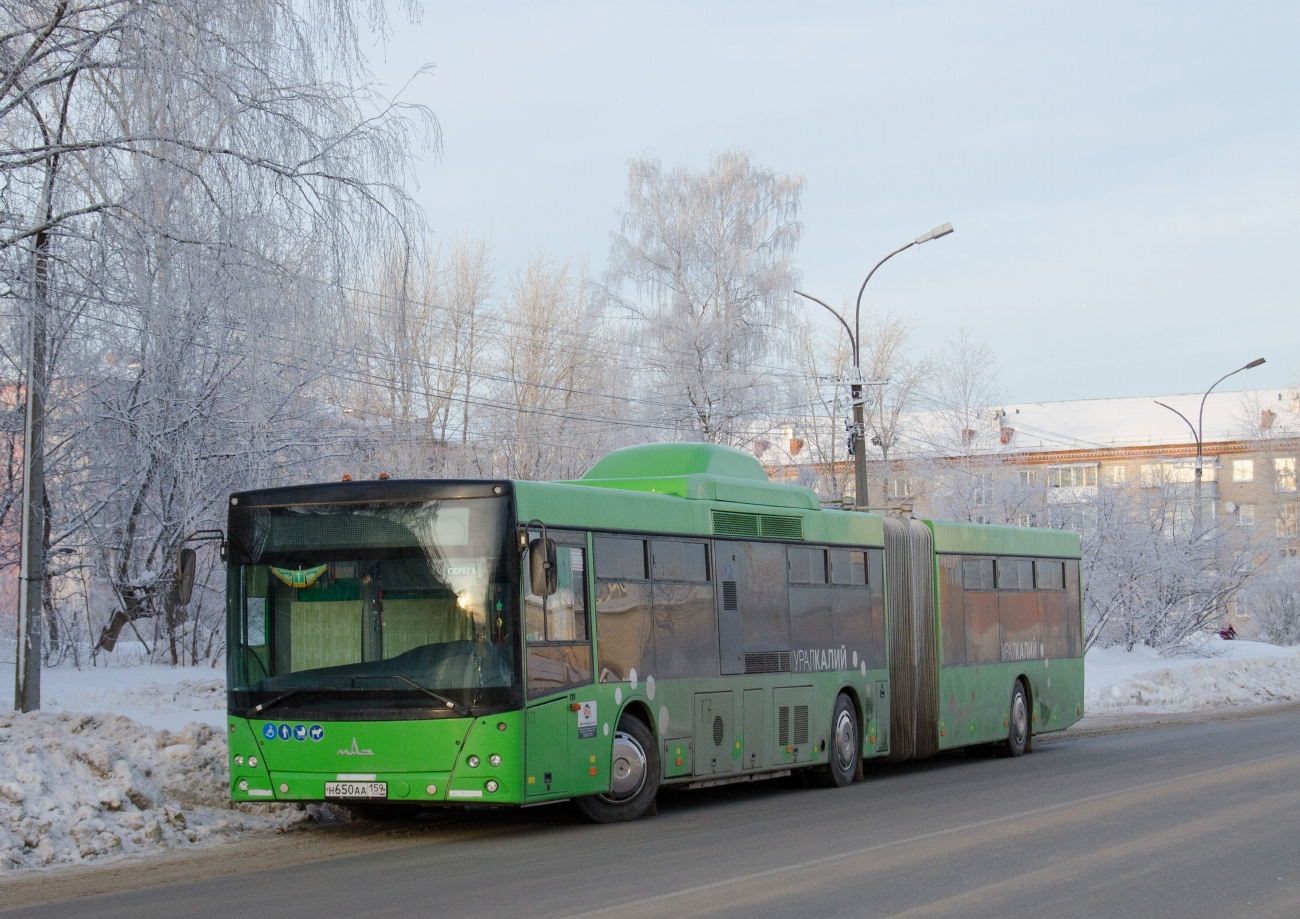 Пермский край, МАЗ-215.069 № 173