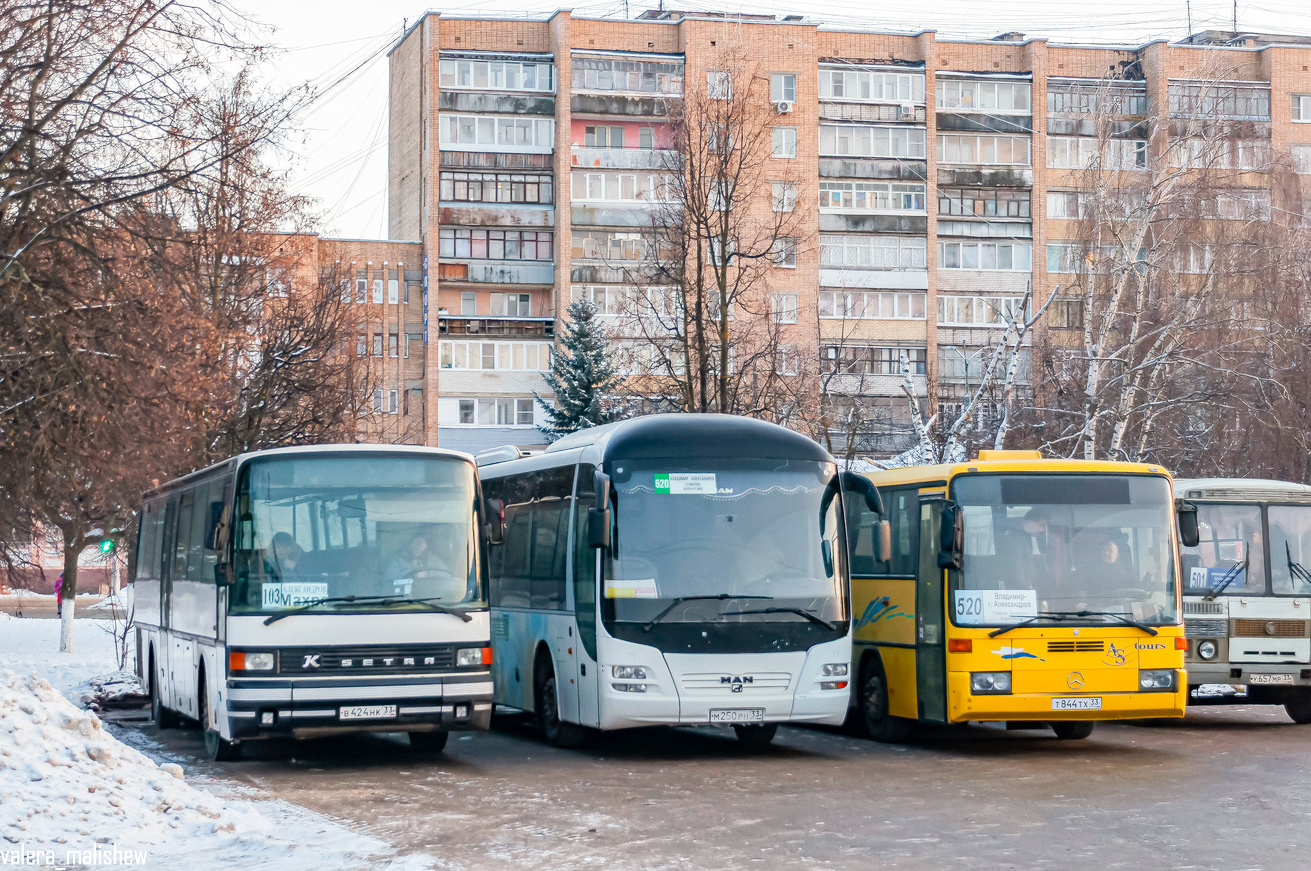 Владимирская область, Setra S215UL № В 424 НК 33