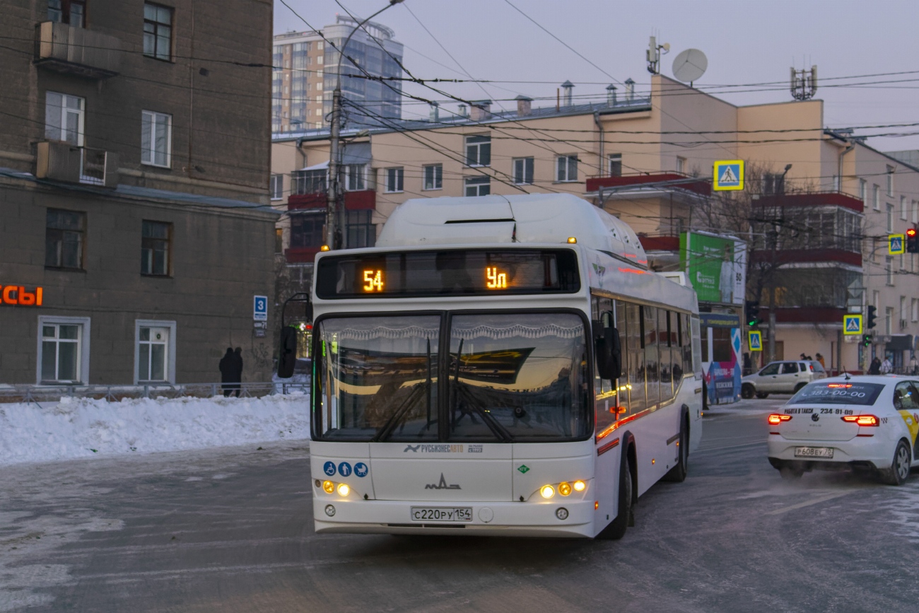 Новосибирская область, МАЗ-103.965 № 11011