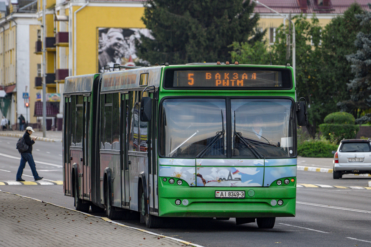 Гомельская область, МАЗ-105.465 № 014011