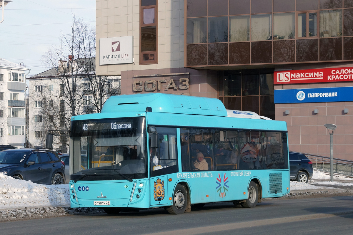 Архангельская область, МАЗ-206.948 № О 190 ТН 29