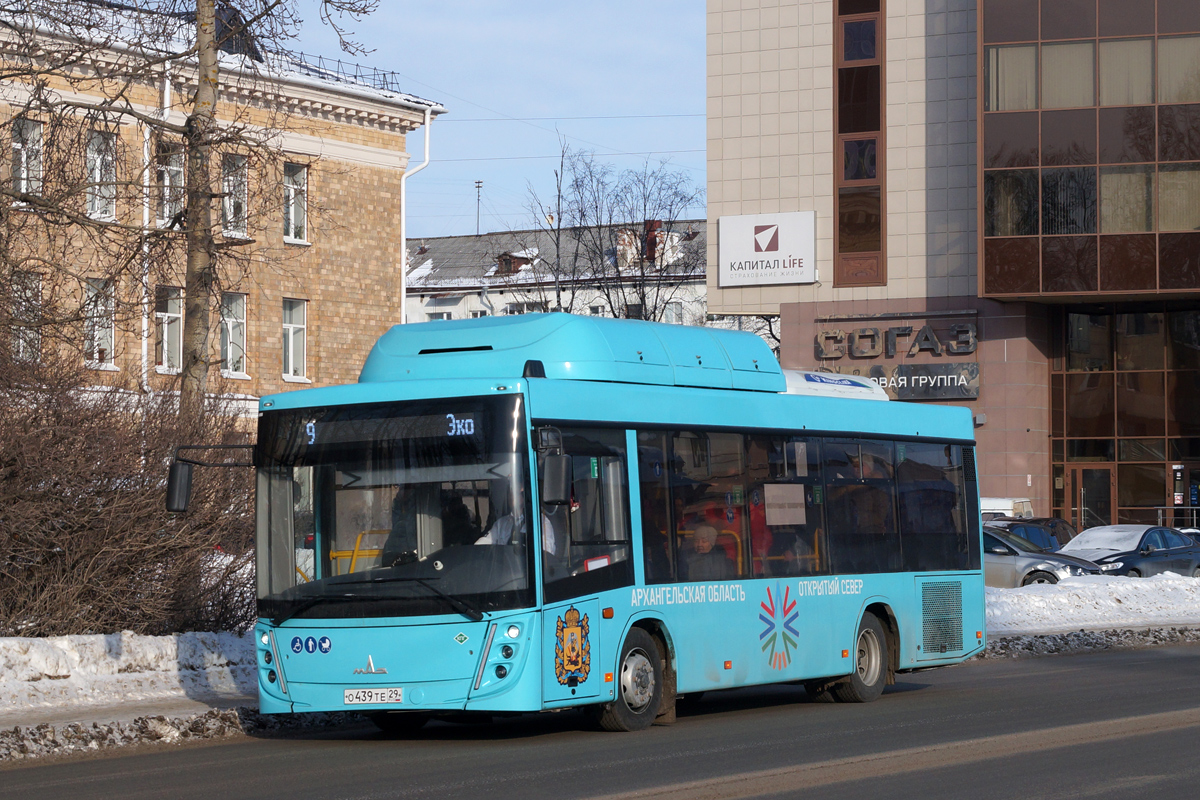 Архангельская область, МАЗ-206.948 № О 439 ТЕ 29