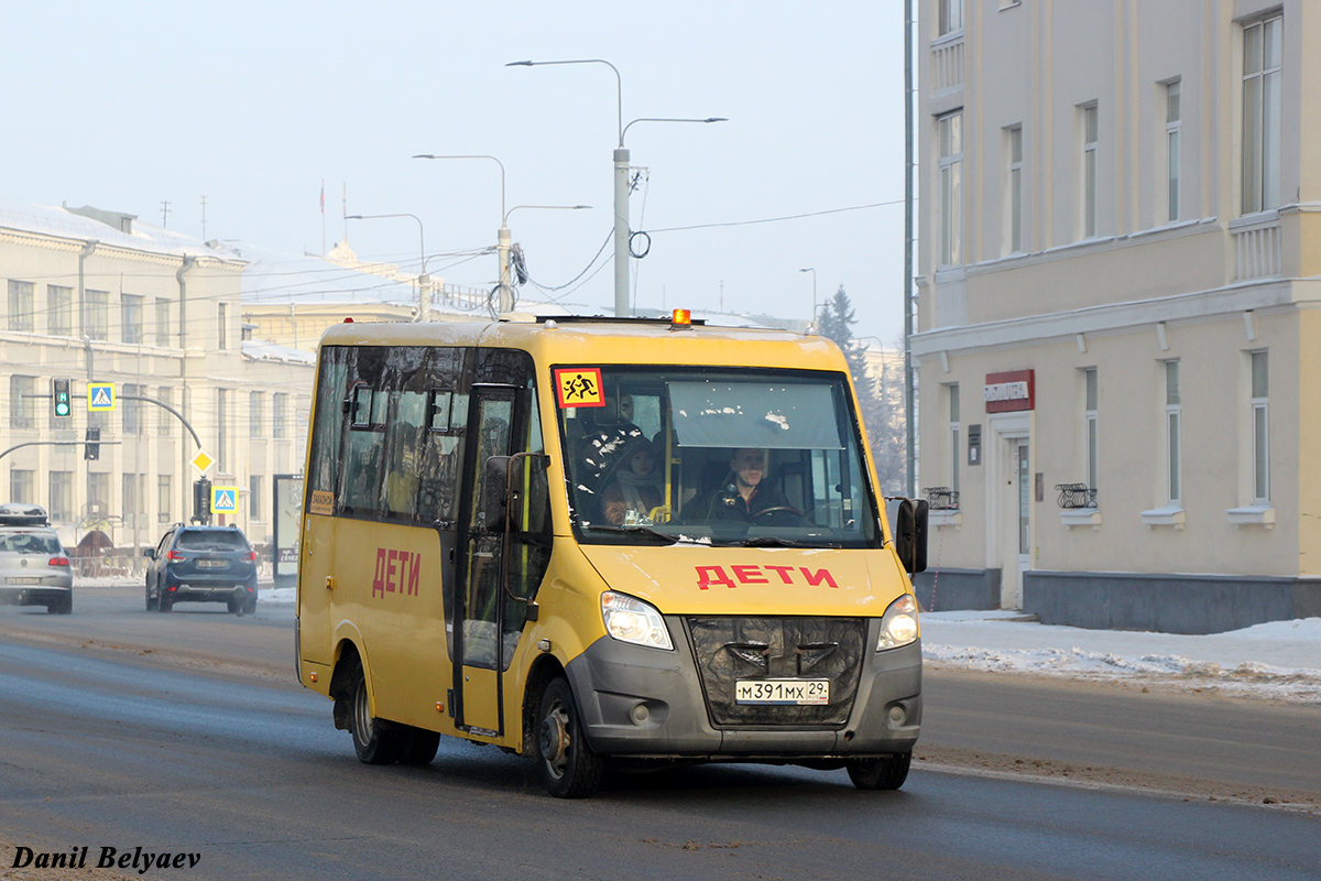 Архангельская область, Луидор-2250N9 (ГАЗ Next) № М 391 МХ 29