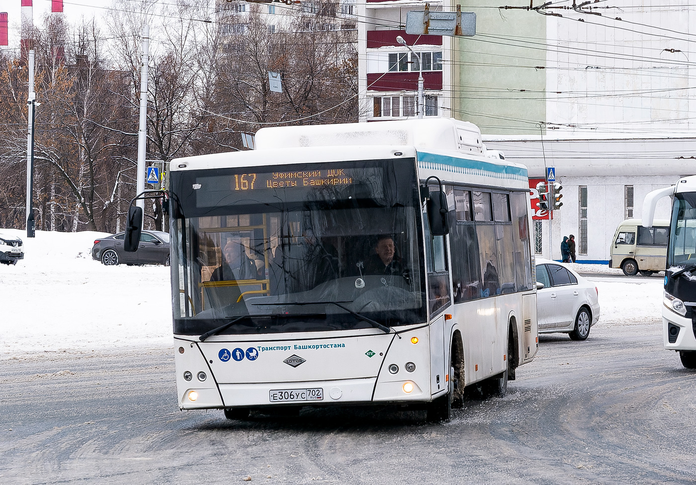 Башкортостан, Lotos-206 № 19
