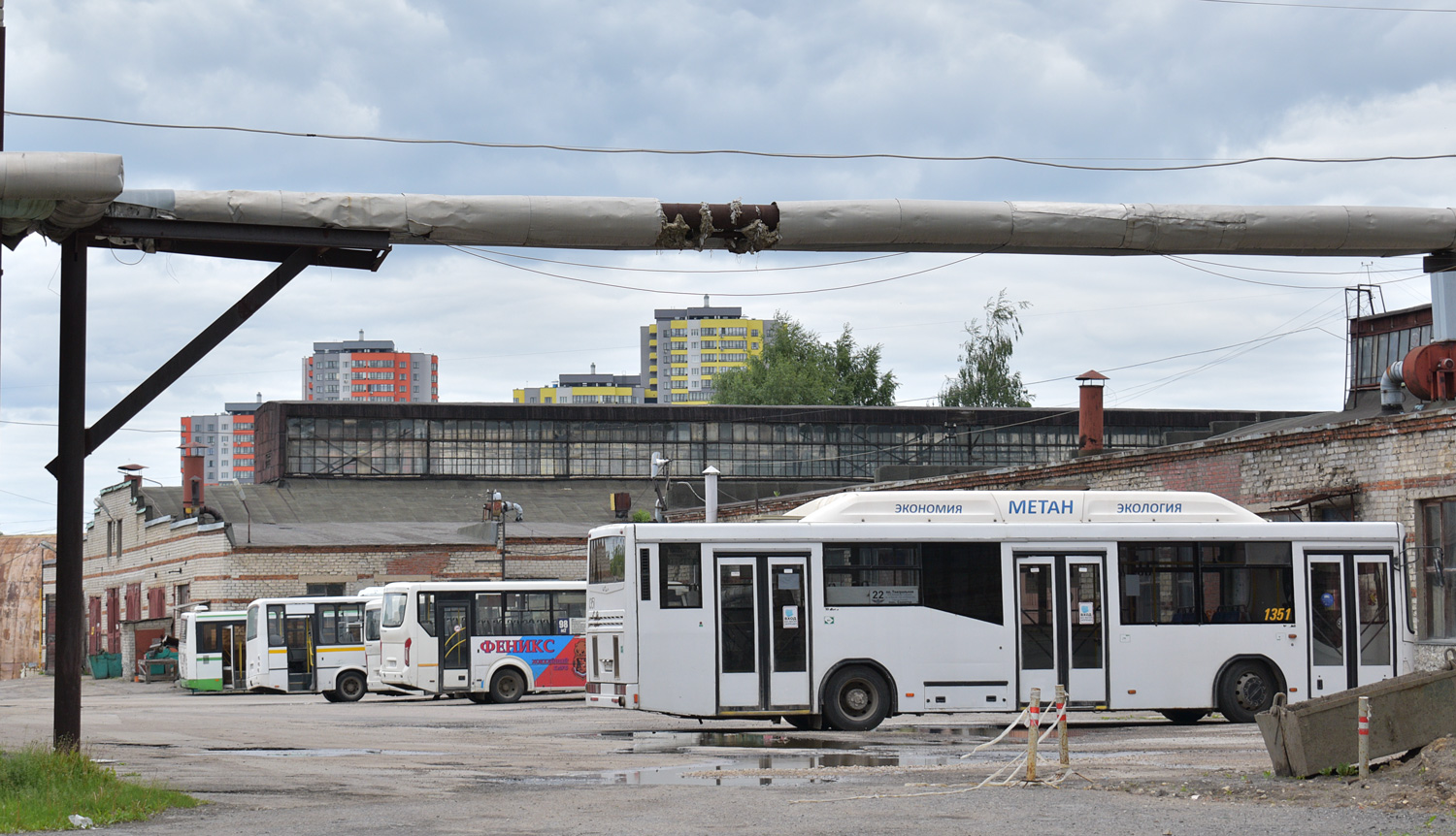 Рязанская область, ЛиАЗ-6212.00 № 1058; Рязанская область, ПАЗ-320412-04 "Вектор" № В 332 АС 797; Рязанская область, ПАЗ-320405-04 "Vector Next" № М 524 УВ 777; Рязанская область, ПАЗ-320405-04 "Vector Next" № Т 435 ОР 750; Рязанская область — Разные фотографии