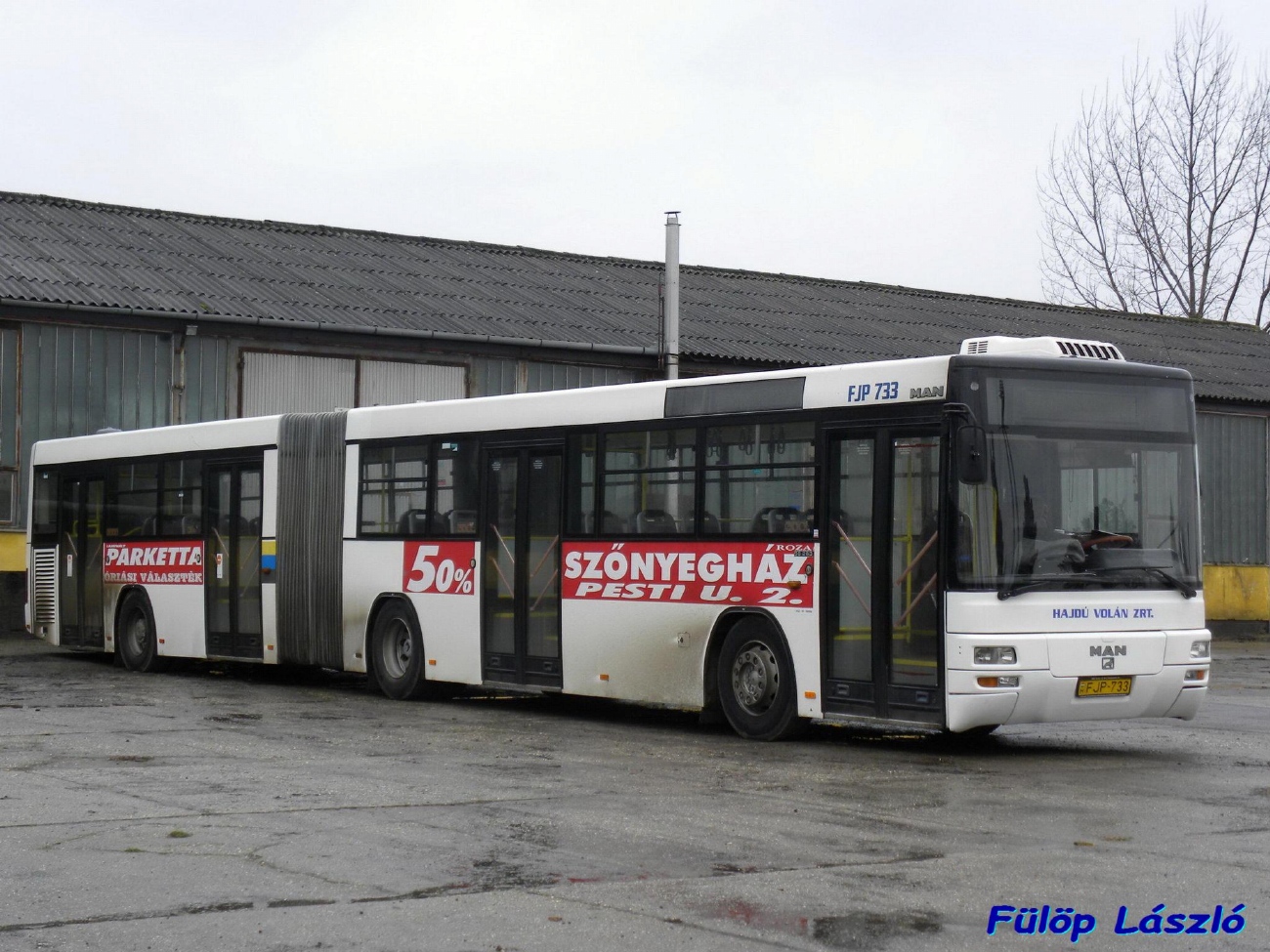 Hungary, MAN A75 Lion's Classic G SG263 # FJP-733
