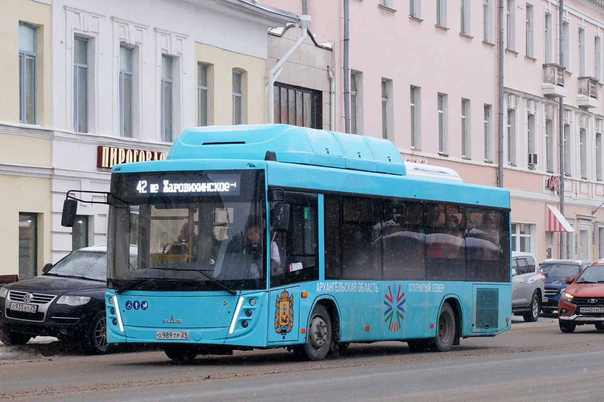Архангельская область, МАЗ-206.948 № О 989 ТР 29