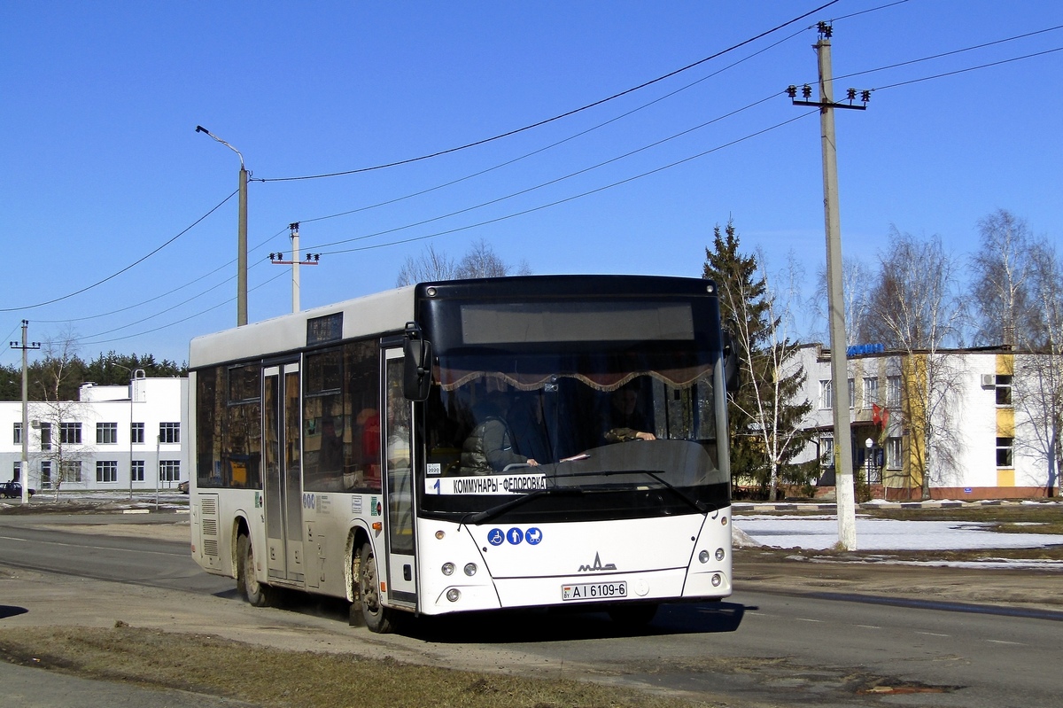 Могилёвская область, МАЗ-206.063 № АІ 6109-6