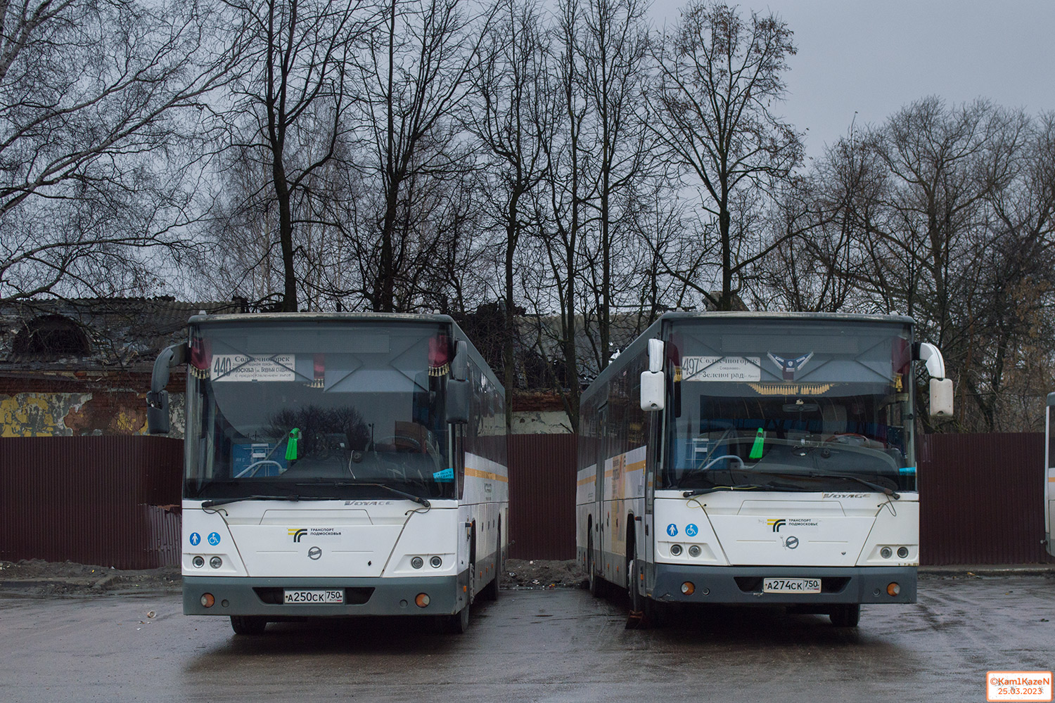 Московская область, ЛиАЗ-5250 № 084802; Московская область, ЛиАЗ-5250 № 084803