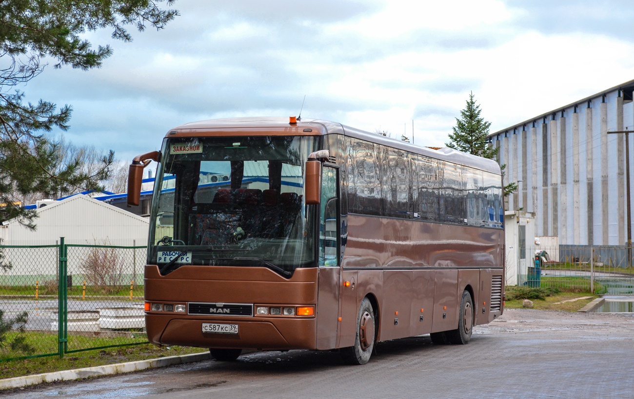 Калининградская область, MAN A13 Lion's Coach RH402 № С 587 КС 39